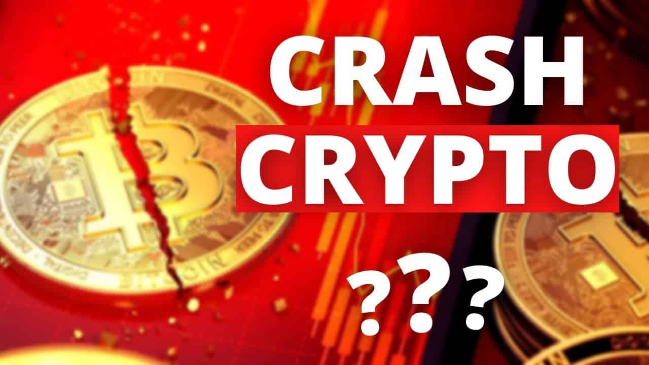 La Crypto Crash en 2022 tout le monde panique !!! 12