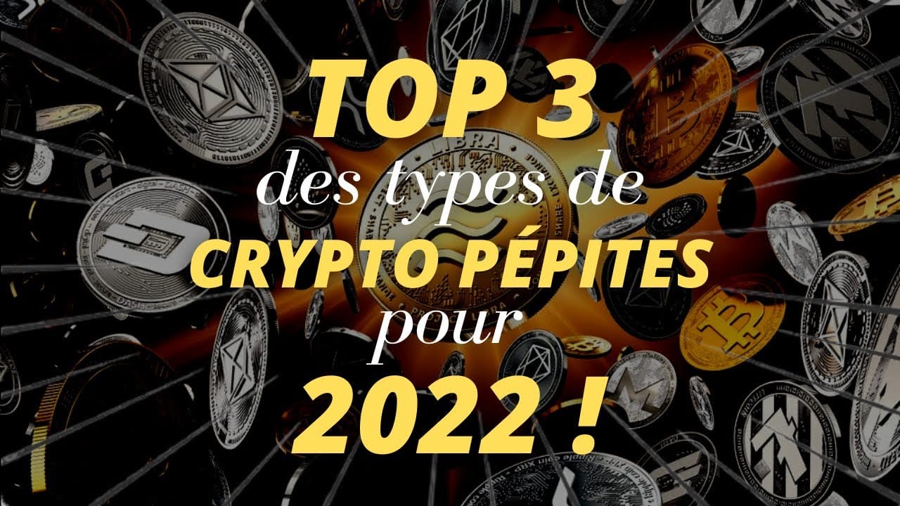 TOP 3 CRYPTO-MONNAIE pour 2022 ! 23