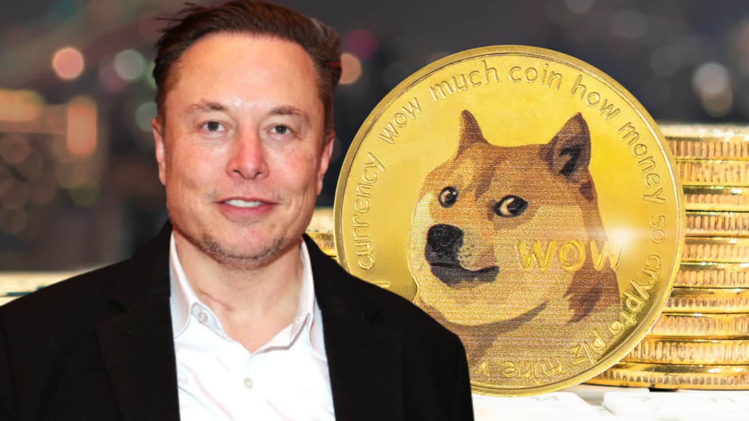 L'avocat de Ripple met en garde Elon Musk à propos de Dogecoin