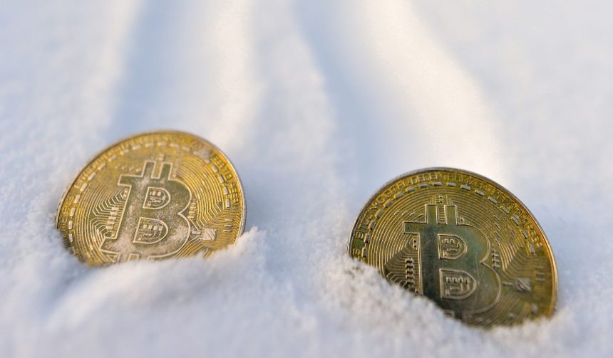 Une société d'investissement : "L'hiver des cryptomonnaies est terminé